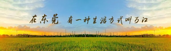 配资投资 在十五运 看见文明东莞 | 万江多举措筑牢生态防线，全方位守护“万江蓝”