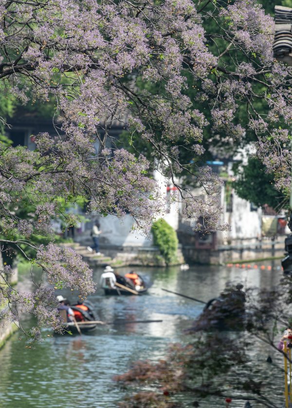 股票配资平台网 赏花享春光(11)#